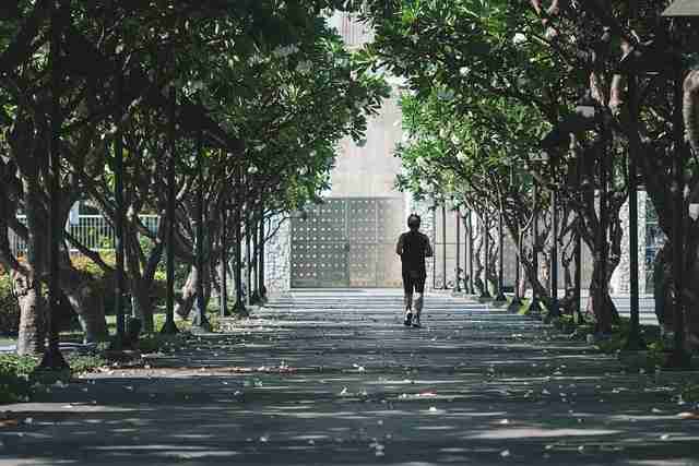 觅圈网站社群运营：会员经济快报